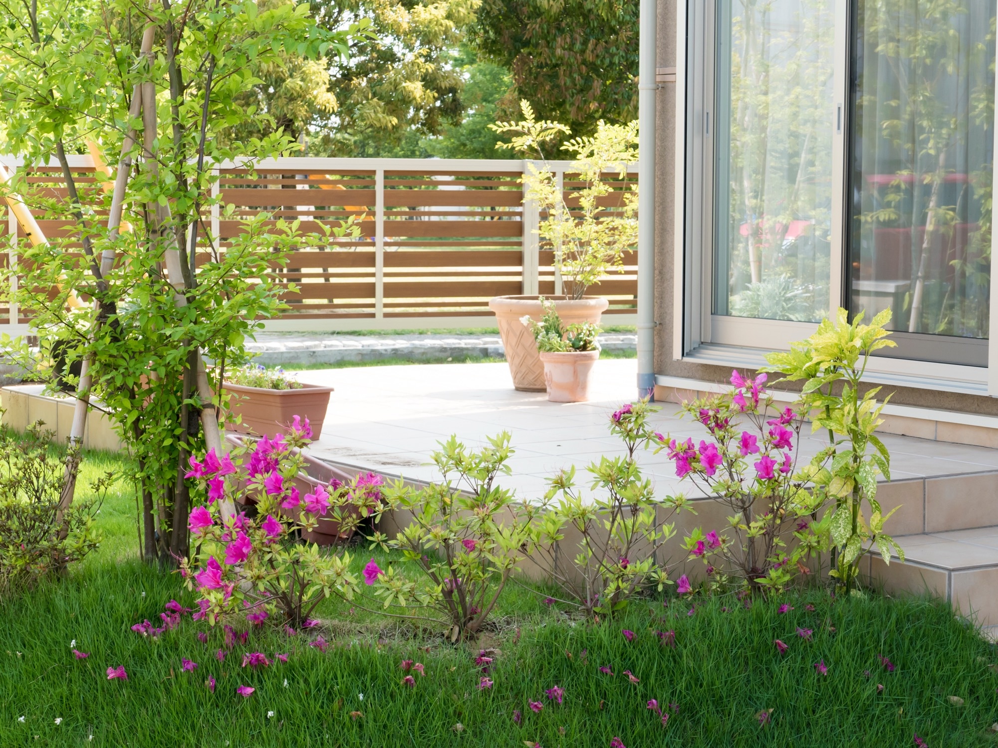 手間を減らして楽しむ、庭づくりのポイント